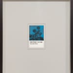 António Faria, Untitled, 2025