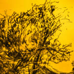 António Faria, Untitled, 2025