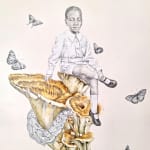 Cássio Markowski, Untitled, Series: Natureza Morta, 2024