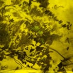 António Faria, Untitled, 2025