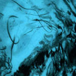 António Faria, Untitled, 2025