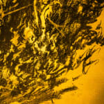 António Faria, Untitled, 2025