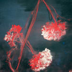 António Faria, Untitled, 2025