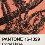 António Faria, Untitled, 2025