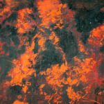 António Faria, Untitled, 2025