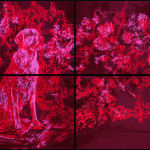 António Faria, Untitled, 2025