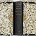 Barbara Wildenboer, The Caryatids VI, 2021