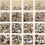 René Tavares, Untitled, 2024