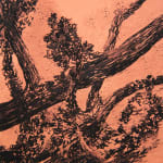 António Faria, Untitled, 2025
