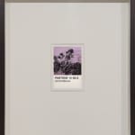 António Faria, Untitled, 2025