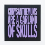 Domenico Zindato, Installation view