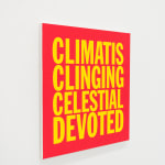 John Giorno, WISTERIA GRASPING EMPTINESS, 2017-2023