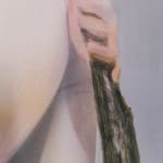 Robert Feintuch, Fat Farnese, 2010
