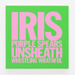 John Giorno, IRIS PURPLE SPEARS UNSHEATH WRESTLING WRATHFUL, 2017-2023