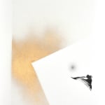 Samuel Riera, Evolving Natura Drawing No. 19, 2020