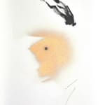 Luis Alberto Álvarez López, Series 3, No. 6, 2018