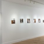 Luis Alberto Álvarez López, Series 3, No. 6, 2018