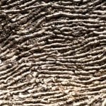 Adrián Fernández, Fragment No. 11 , 2024