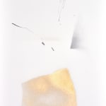 Samuel Riera, Evolving Natura Drawing No. 19, 2020