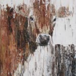 Carl Melegari, Mucca