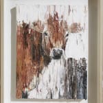Carl Melegari, Mucca