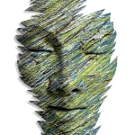 Paul Vanstone, Onyx Head