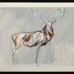 Jo Taylor, Spirit Beast