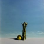 David Gleeson RI, Water, Lillies