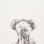 Leon Müller, Elephant and Calf