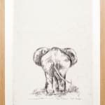Leon Müller, Elephant and Calf