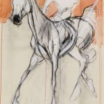 Jo Taylor, Spirit Beast