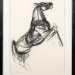 Jo Taylor, Reckless Horse