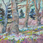 Alma Wolfson DA, Loch Gruinard, Wester Ross