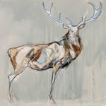 Jo Taylor, Spirit Beast