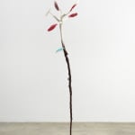 Minouk Lim, Shooting Star, 2022