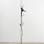 Minouk Lim, Shooting Star, 2022