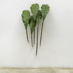 Tania Pérez Córdova, Asplenium Nidus (40% chance of rain), 2022