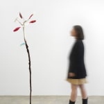 Minouk Lim, Shooting Star, 2022