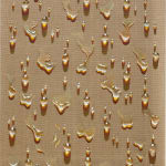 Kim Tschang-Yeul, Waterdrops, 1983