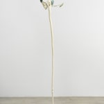Minouk Lim, Shooting Star, 2022