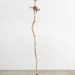 Minouk Lim, Shooting Star, 2022
