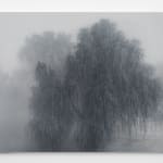 Kibong Rhee, Mistygraphy- Cut Section 5, 2024
