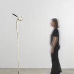 Minouk Lim, Shooting Star, 2022