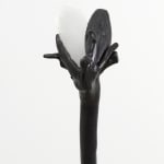 Minouk Lim, Shooting Star, 2022