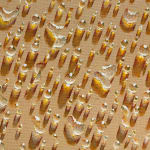 Kim Tschang-Yeul, Waterdrops, 1983