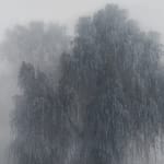 Kibong Rhee, Mistygraphy- Cut Section 5, 2024