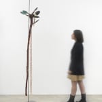 Minouk Lim, Shooting Star, 2022