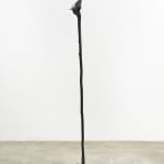 Minouk Lim, Shooting Star, 2022