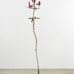 Minouk Lim, Shooting Star, 2022
