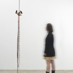 Minouk Lim, Shooting Star, 2022